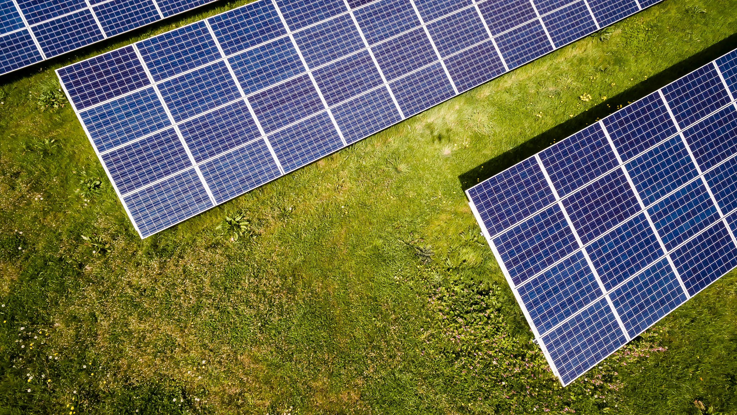 Ground-mount solar plant site view
